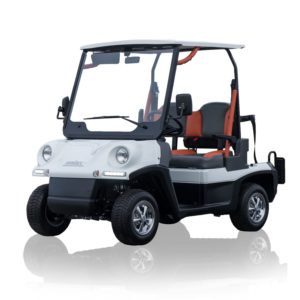 Golf Cart Matriculables