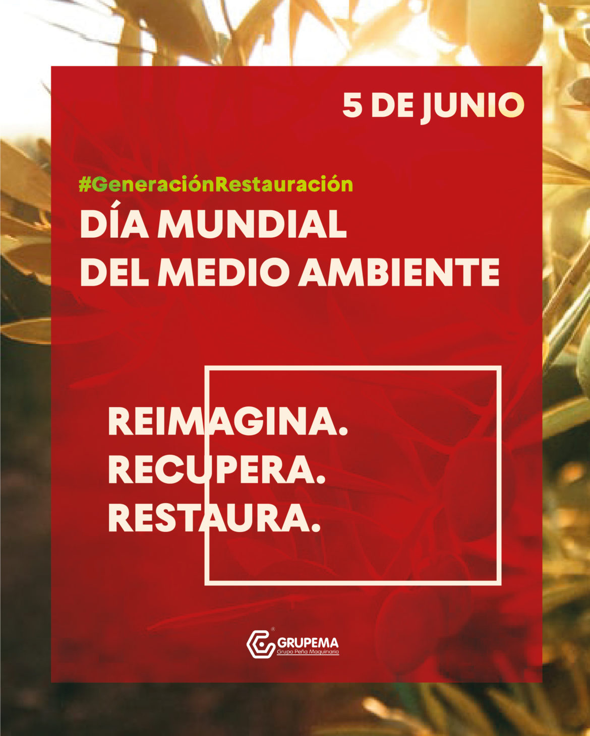 dia internacional del medio ambiente_Mesa de trabajo 1